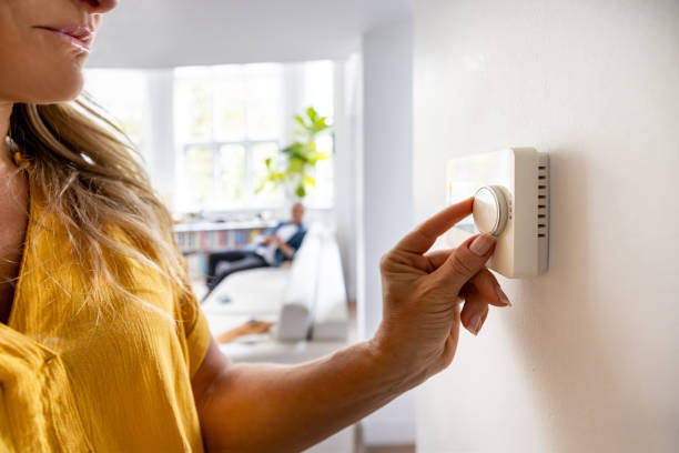 Best Local HVAC Companies  in Sangaree, SC